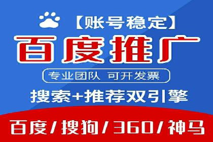 行业领先企业的SEM运营策略案例解析